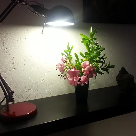 L'atelier - Esprit Boheme, La Nature En بيت للعطل *