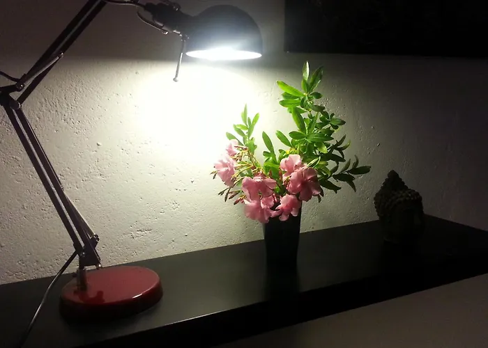 L'atelier - Esprit Bohème, La Nature En Casa vacanze *